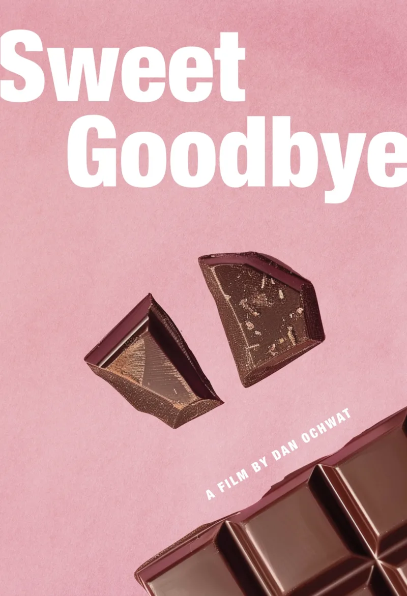 Sweet Goodbye film poster